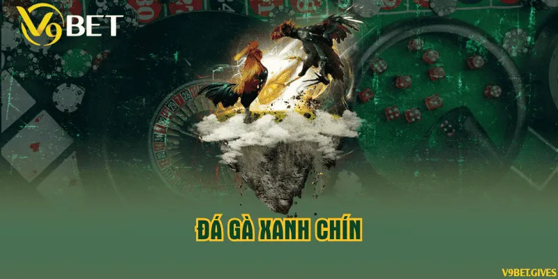Đá gà xanh chín